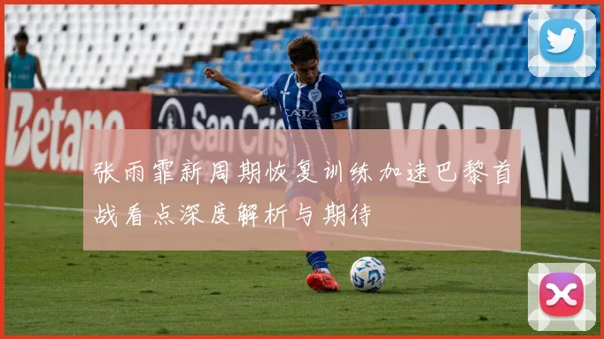 张雨霏新周期恢复训练加速巴黎首战看点深度解析与期待